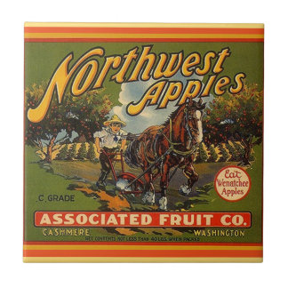 Vintage-Werbung für Washington-Äpfel Kistenfliese Fliese