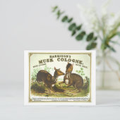 Vintage Werbung Harrisons Musk Köln Postkarte (Stehend Vorderseite)