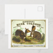 Vintage Werbung Harrisons Musk Köln Postkarte (Vorne/Hinten)