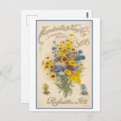Vintage Werbung Mandeville Blume Saatgut Postkarte (Vorne/Hinten)