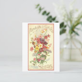 Vintage Werbung Mandeville Blume Saatgut Postkarte (Stehend Vorderseite)