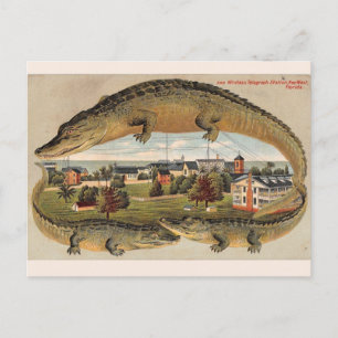 Vintage West Alligator Postkarte