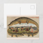 Vintage West Alligator Postkarte (Vorne/Hinten)