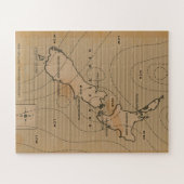 Vintage Wetterkarte Neuseelands Puzzle (Horizontal)