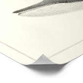 Vintage Whale-Illustration Poster (Ecke)