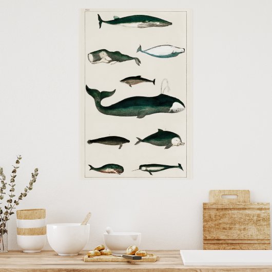 Vintage Whale-Illustration Poster (Küche)