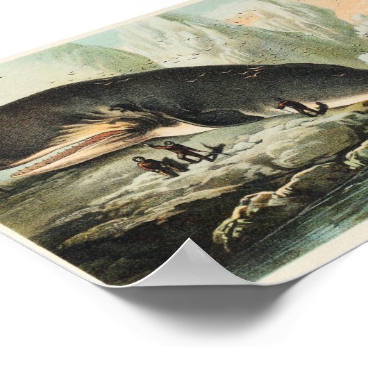 Vintage Whale-Illustration Poster (Ecke)