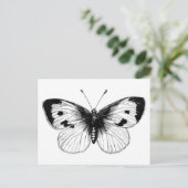Vintage White Cabbage Butterfly Illustration Postkarte (Stehend Vorderseite)