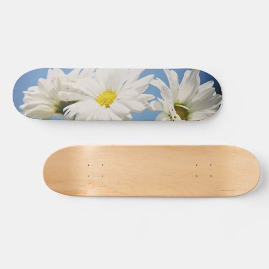 Vintage White Daisies Skateboard (Horizontal)