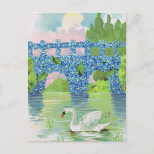 Vintage White Swan Cards Postkarte