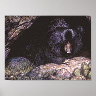 Vintage wild lebende Tiere, Sloth Bears von Louis  Poster