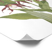 Vintage Wildblume der Bergladonna Poster (Ecke)