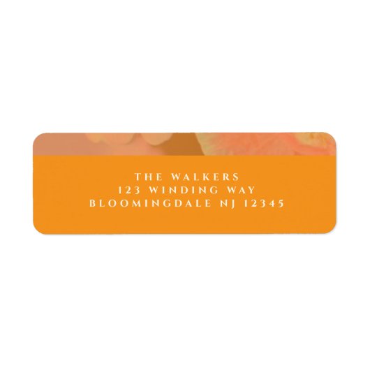 Vintage Wildblume Pink Poppy Hochzeit (Vorne)