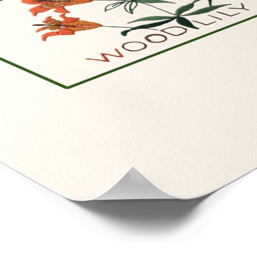 Vintage Wildblume Stickerei Alphabet Poster (Ecke)