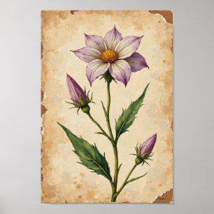 Vintage-Wildblumen-Botanikplatten-Kunst Poster