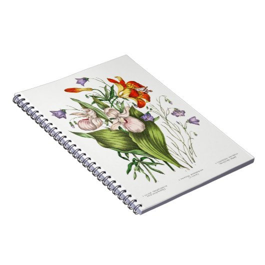 Vintage Wildblumen Notizblock (Rechte Seite)