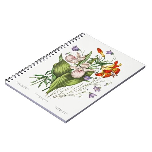 Vintage Wildblumen Notizblock (Linke Seite)