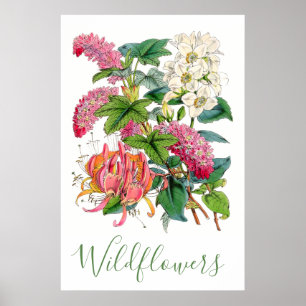 Vintage-Wildblumen Rustikaler Cottagecore-Blumenst Poster