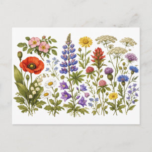 Vintage Wildblumen und Gartenblumen  Postkarte