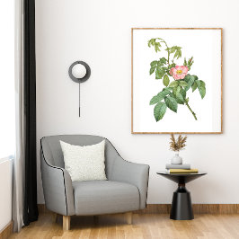 Vintage Wilde Rose Botanische Kunstdruckplakate Poster