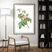 Vintage Wilde Rose Botanische Kunstdruckplakate Poster
