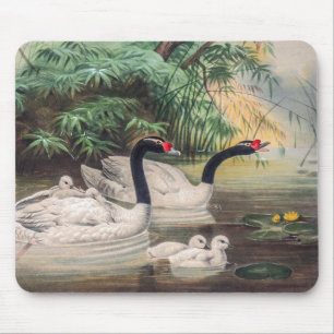 Vintage wilder Schwarzhalsschwan Mousepad