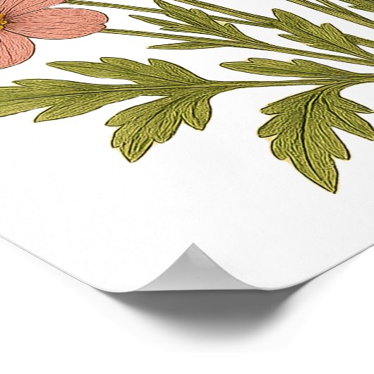 Vintage Wildflower Poster (Ecke)