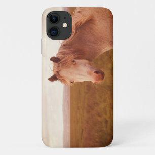 Vintage Wildpferd Case-Mate iPhone Hülle