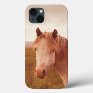 Vintage-Wildpferd-Case-Mate-iPhone-Hülle Case-Mate iPhone Hülle