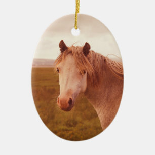 Vintage Wildpferd Keramik Ornament