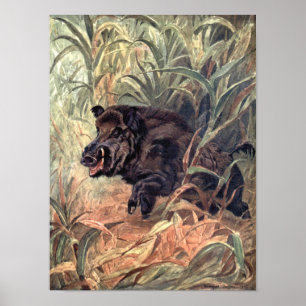 Vintage-Wildtier-Indien-Wildschwein von Winifred A Poster