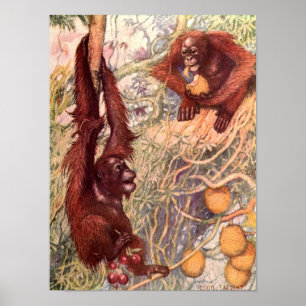 Vintage-Wildtier, Orang-Utans von Louis Sargent Poster