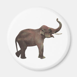 Vintage-Wildtiere, Glück Asiatische Elefanten Magnet
