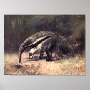 Vintage-Wildtiere, Großer Ameisenbär von CE Swan Poster