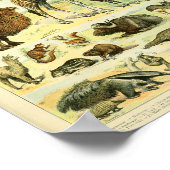 Vintage Wildtiere Print Poster (Ecke)