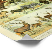 Vintage Wildtiere Print Poster (Ecke)
