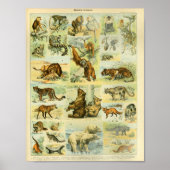 Vintage Wildtiere Print Poster (Vorne)