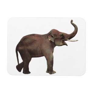 Vintage Wildtiere, Viel Glück-asiatische Elefanten Magnet