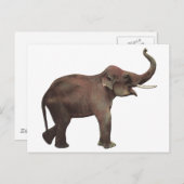 Vintage Wildtiere, Viel Glück-asiatische Elefanten Postkarte (Vorne/Hinten)