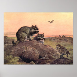 Vintage Wildtiere, Vizcachas von Winifred Austen Poster