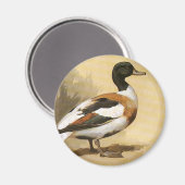 Vintage Wildtiere — Vögel, Mallard-Ente Magnet (Vorderseite/Rückseite)