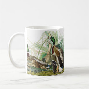 Vintage-Wildtierkunst von Audubon: Stockenten-Ente Kaffeetasse