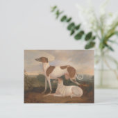 Vintage Windhunde Postkarte (Stehend Vorderseite)