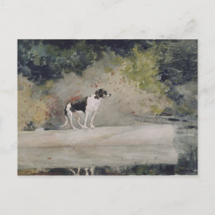 Vintage Winslow Homer Aquarell Hund auf einem Baum Postkarte
