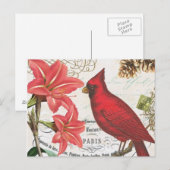 vintage Winter-Kardinal Postkarte (Vorne/Hinten)