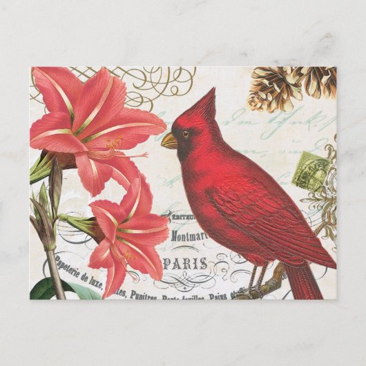 vintage Winter-Kardinal Postkarte (Vorderseite)