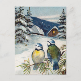 Vintage Winter-Postkarte mit Vögeln Postkarte