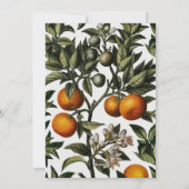 Vintage Winterorangen 3 FotoCollage Feiertagskarte (Rückseite)