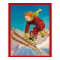 Vintage Wintersport, Dame Skispringerin
