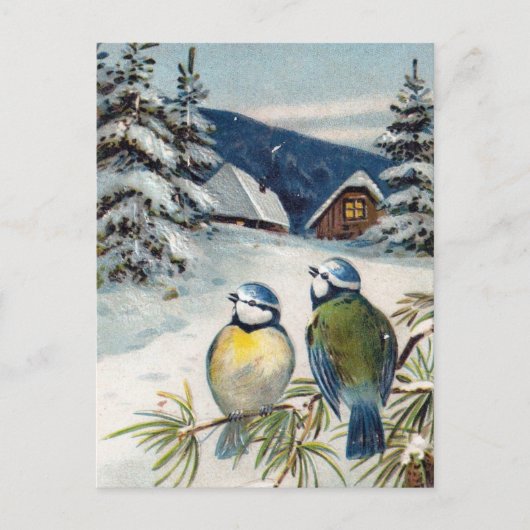 Vintage Wintervögel Postkarte (Vorderseite)